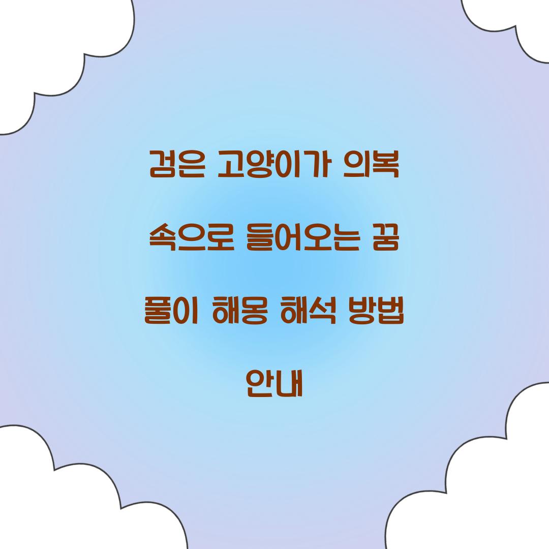 검은 고양이가 의복 속으로 들어오는 꿈 풀이 해몽 해석