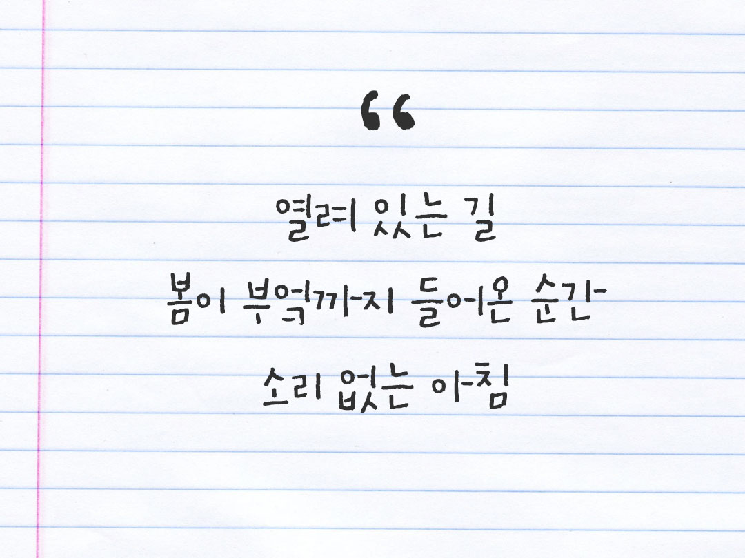 2026년 3월 12일 피어나네 감사노트|일상을 행복으로 바꾸는 기록 하루 3줄 감사일기