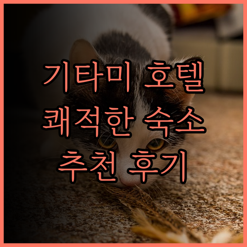 컴포트 호텔 기타미 추천 후기 쾌적한