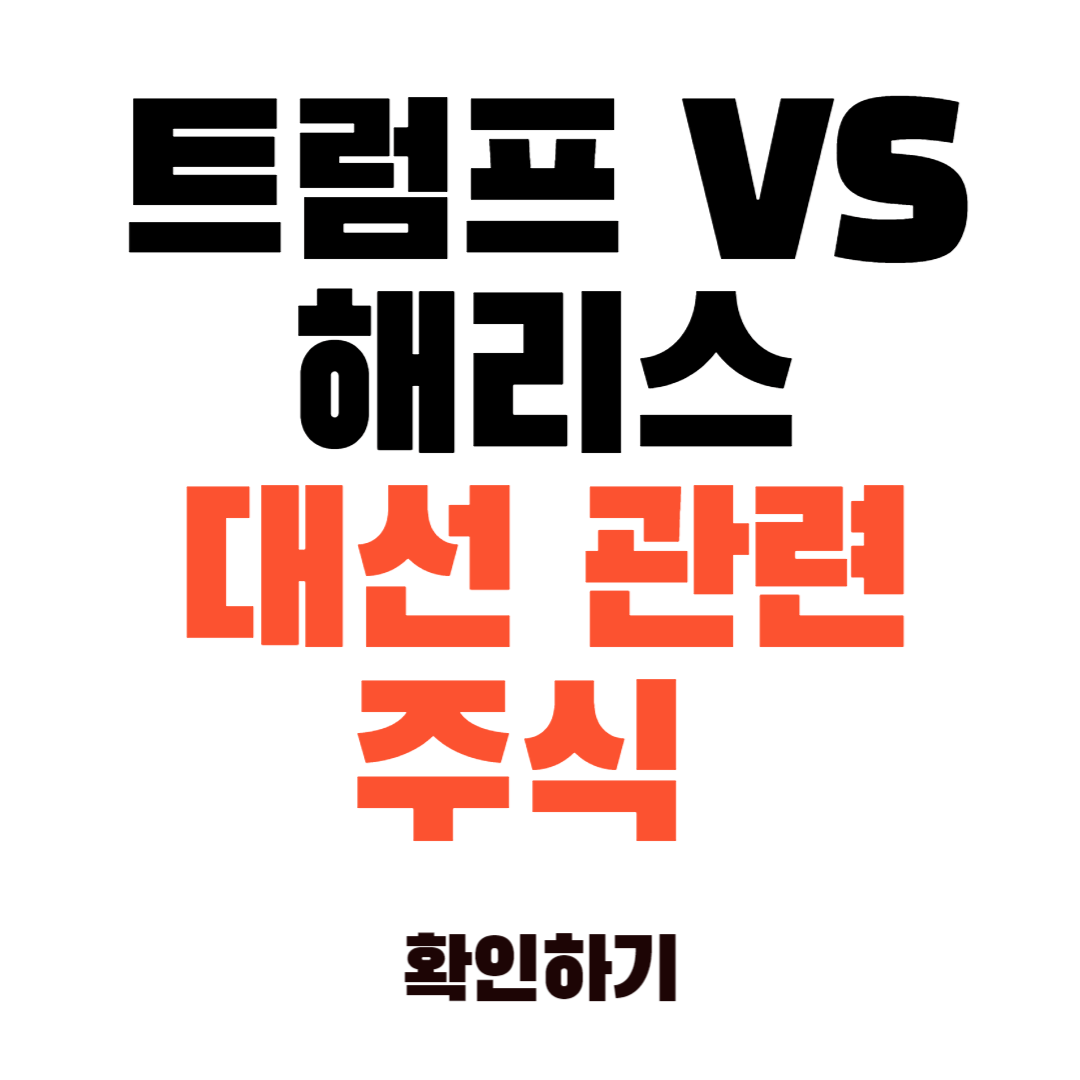 트럼프 VS 해리스 대선 관련 주식