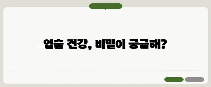 입술이 부르트는 이유 면역 저하, 영양 부족이 원인일 수 있어요
