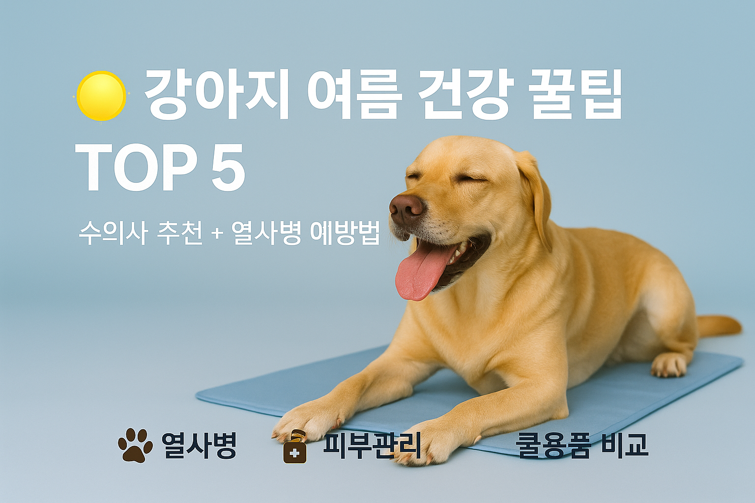 🐕 수의사가 알려주는 강아지 여름 건강 지키기: 열사병 예방부터 피부 관리까지