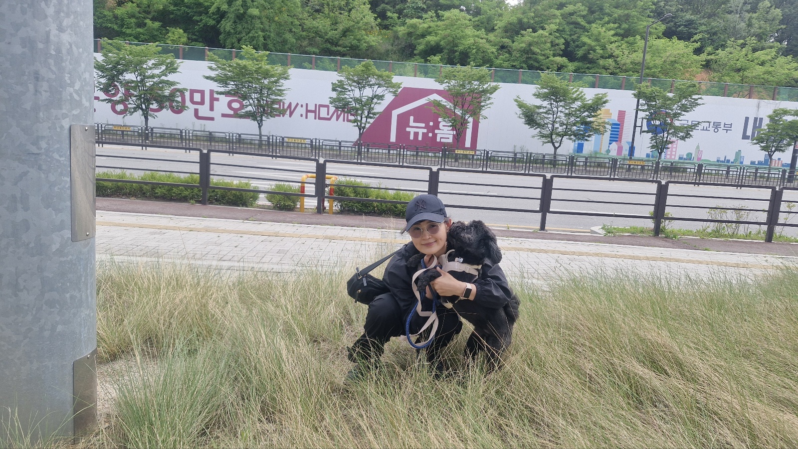 강아지 배변전 빙빙도는 이유 11가지