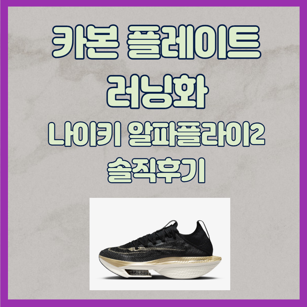 나이키 알파플라이2