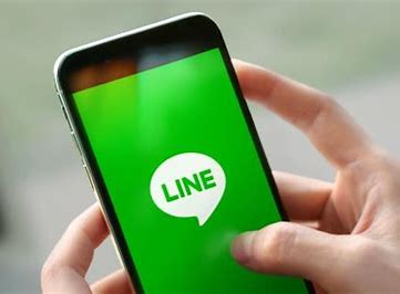라인 관련 이미지