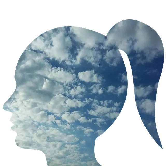 사람의 뇌에서 기억하는 형상 사진