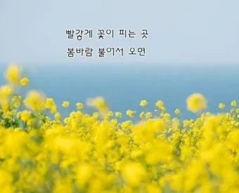 김정미 봄 가사 노래 무료 연속듣기_21