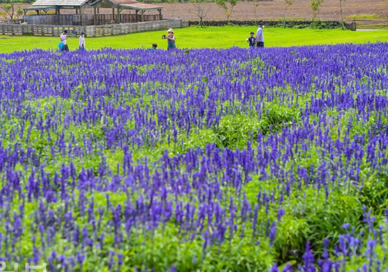 5월제주도 가볼만한곳