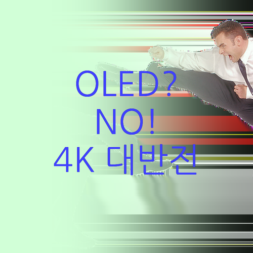 OLED 부럽지 않은 화질 vs 가성..