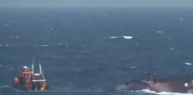 목표 해경 사진출처