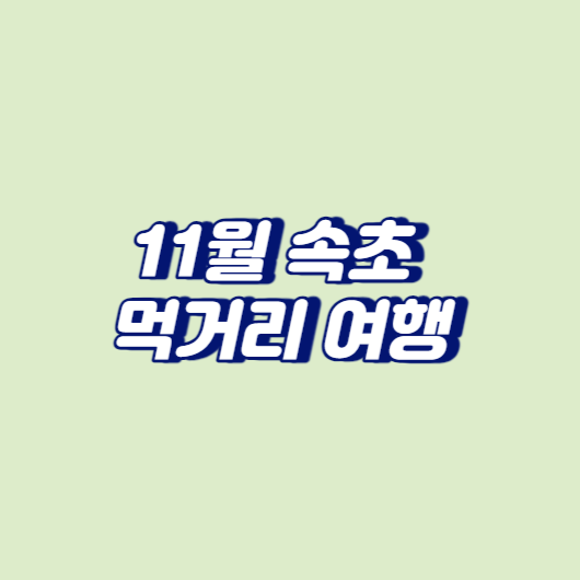 11월 속초 먹거리 여행