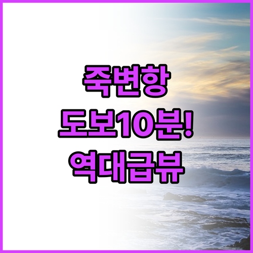 죽변항 도보 10분 거리 울진 푸른바..
