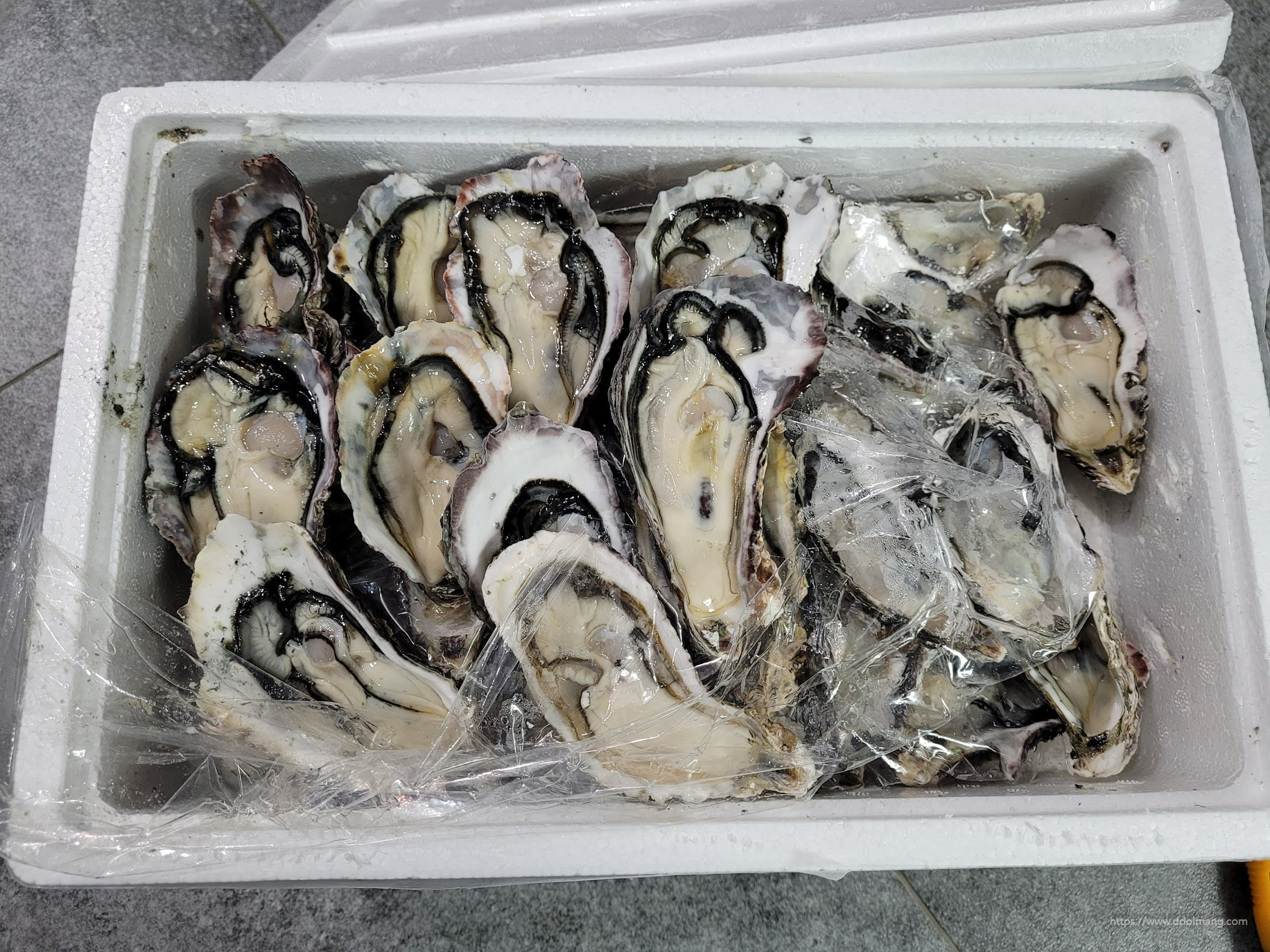 하프쉘이 스트로폼 박스에 포장되 배송된 모습