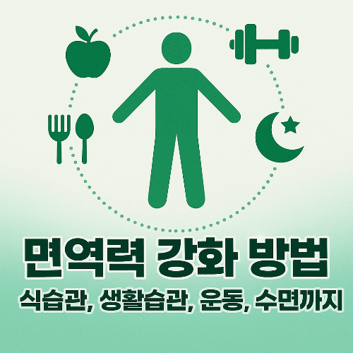 면역력 강화 방법|식습관, 생활습관, 운동, 수면까지 완벽 가이드