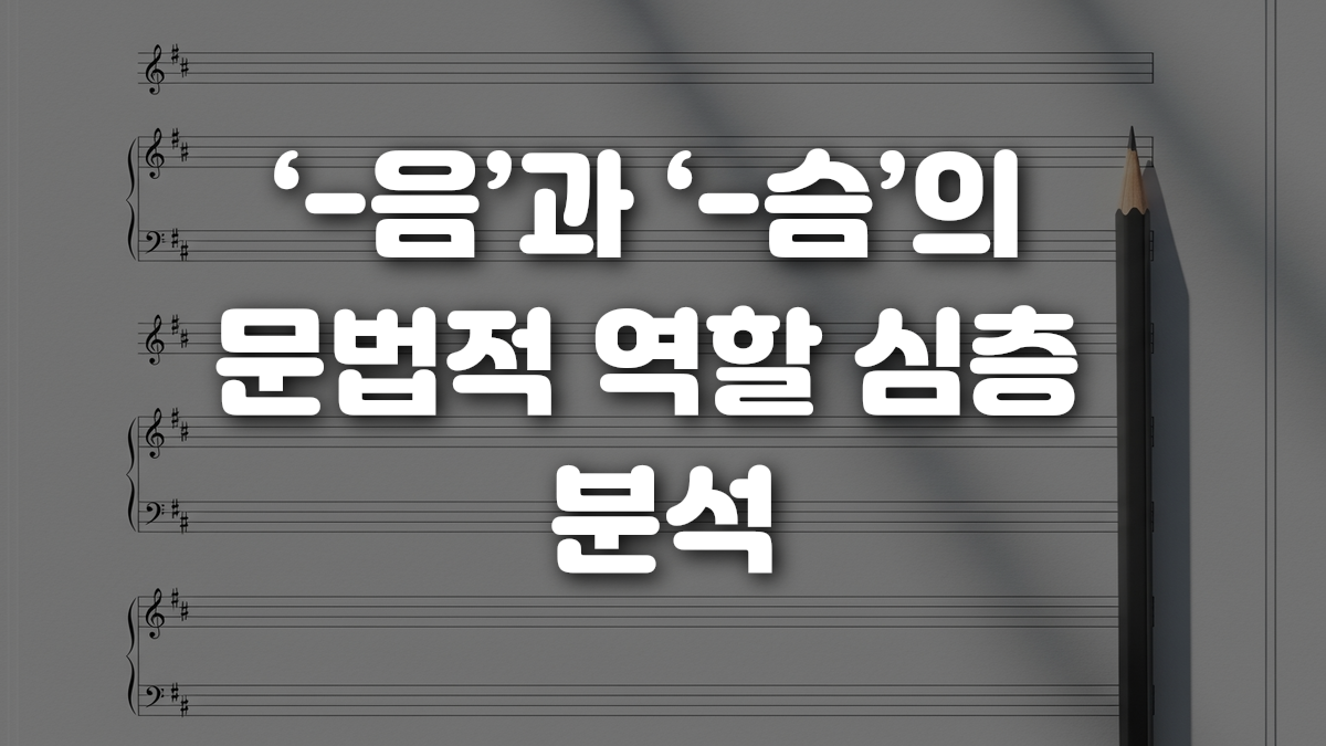음 과 슴 의 문법적 역할 심층 분석