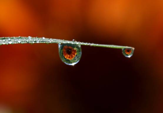 2025 장마 기간, 지역별 예상 일정