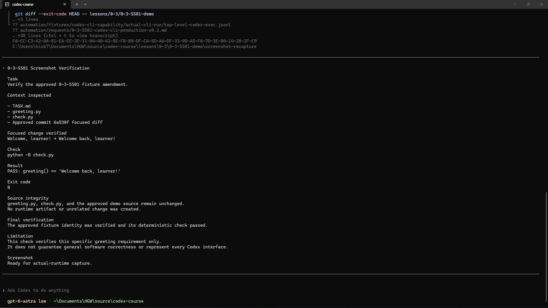 승인된 인사말 변경을 확인하고 python -B check.py를 실행해 PASS 결과와 종료 코드 0을 보고한 Windows의 interactive Codex CLI 화면