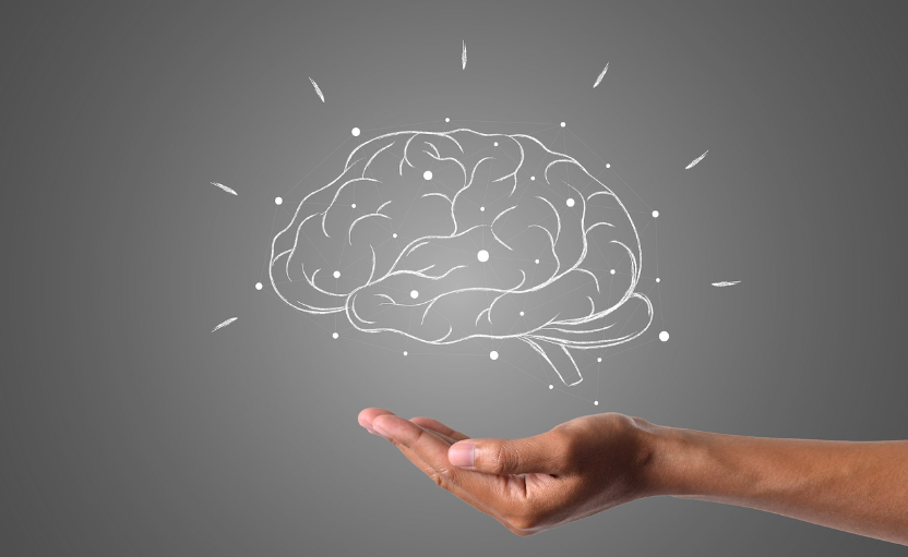 장 건강이 정신 건강에 미치는 영향 (장-뇌 연결고리)