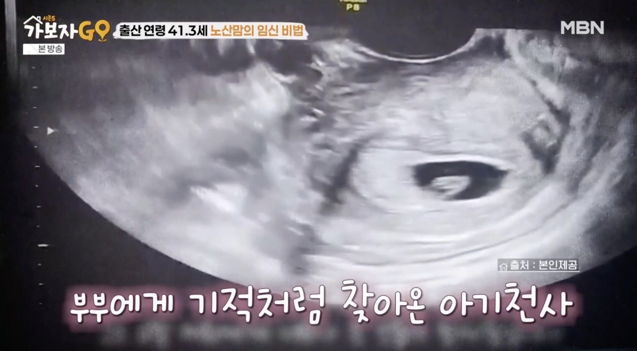 가보자GO 출연 아유미 자녀 계획 공개 장면