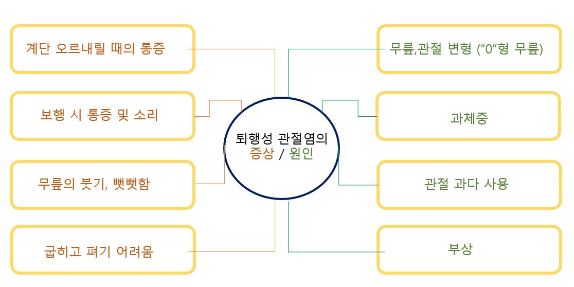 퇴행성 관절염 증상 원인