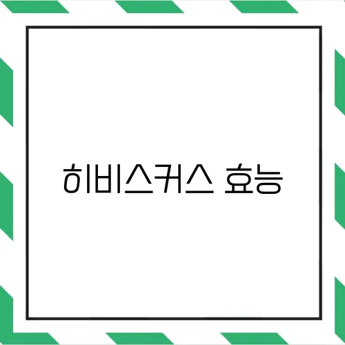 히비스커스 효능