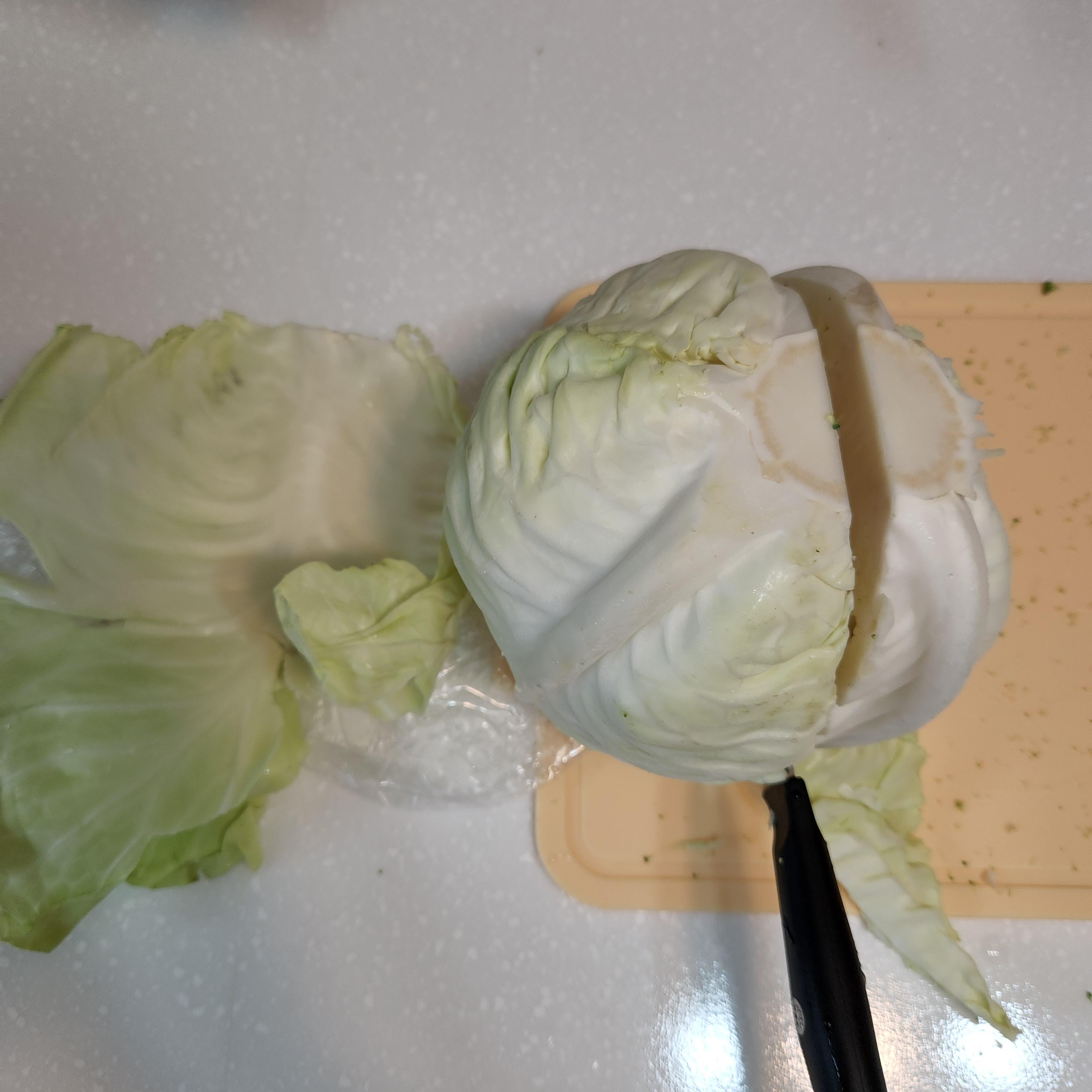 초기소고기이유식양배추