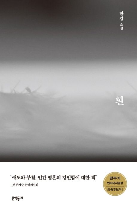 노벨문학상 한강