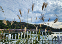 여행-가평-호명호수