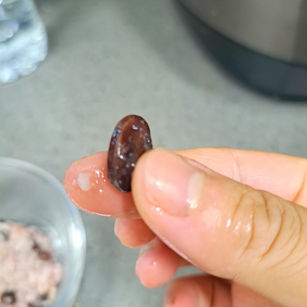 검은콩