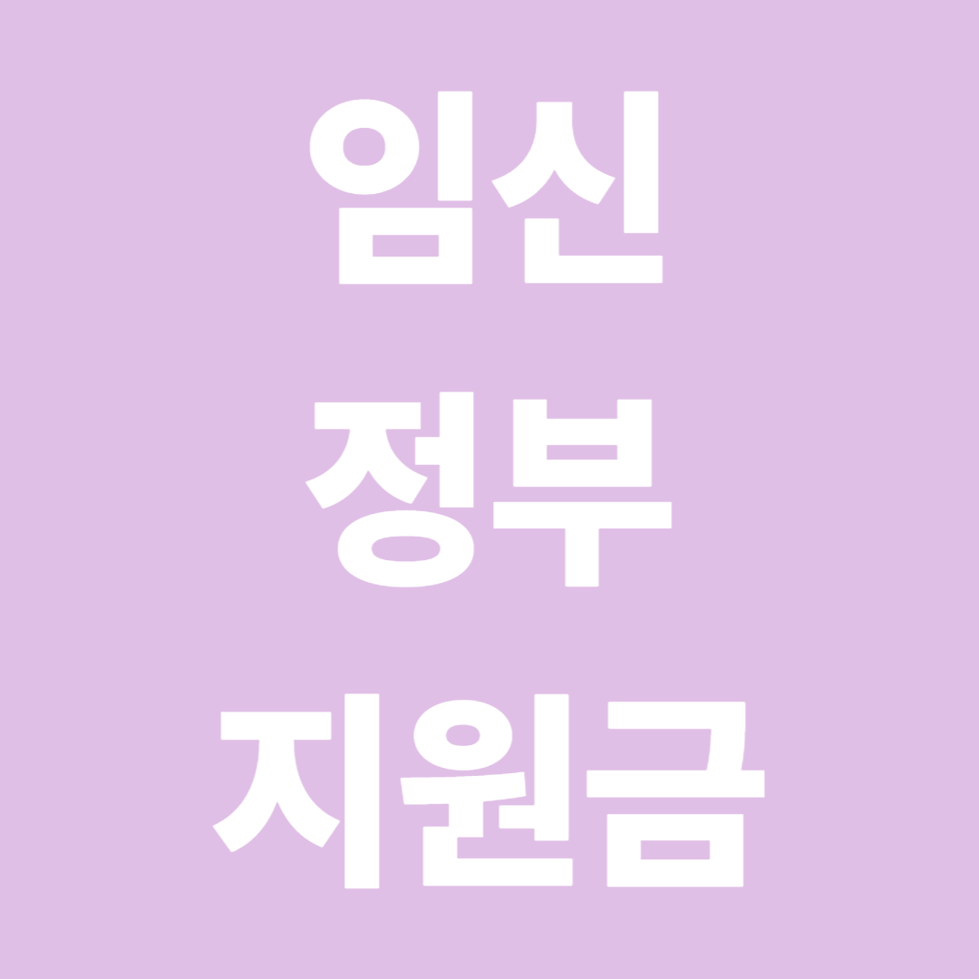 임신정부지원금