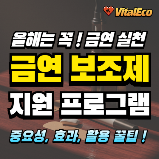 금연 보조제, 금연 프로그램 알아보기
