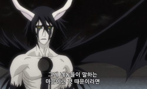 일본애니블리치