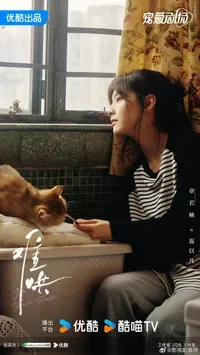 난홍 관련 이미지