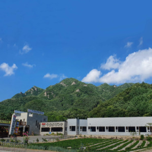 포천 Y자 출렁다리 근처 맛집 지장산 막국수 본점