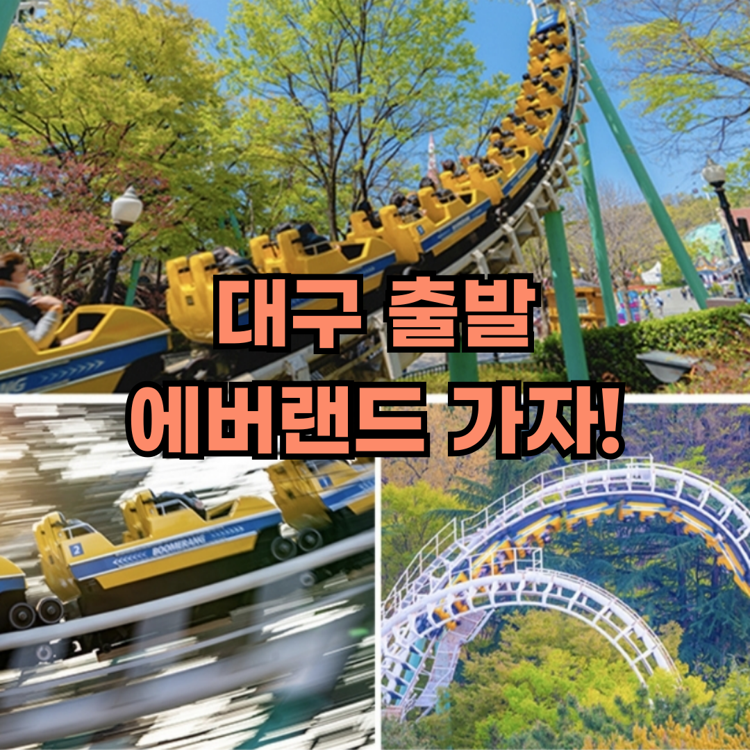 대구출발 에버랜드 가기