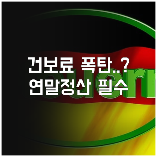 2026년 건강보험료 추가 납부액 분..