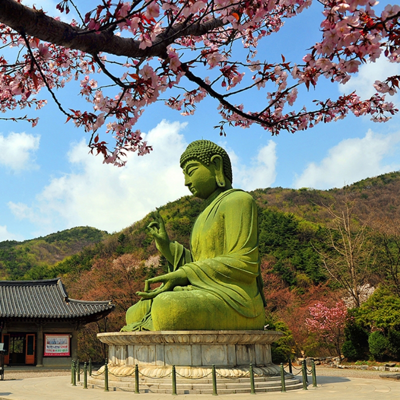 태조산-청동대좌불