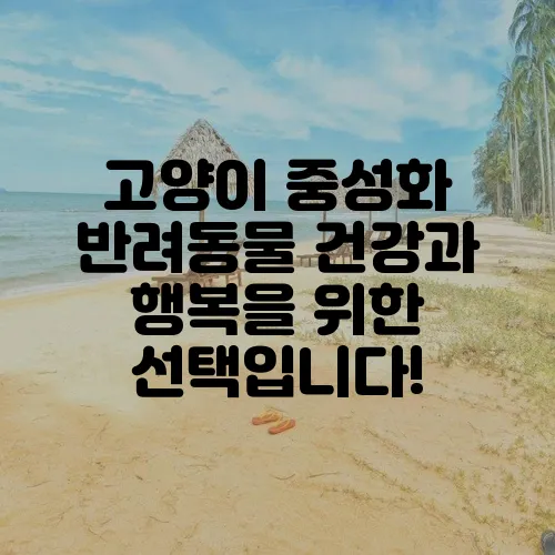 고양이 중성화 반려동물 건강과 행복을 위한 선택입니다!
