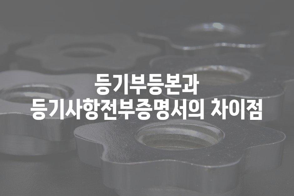 샘플 (52)