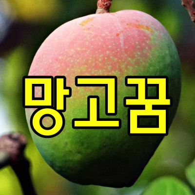망고꿈