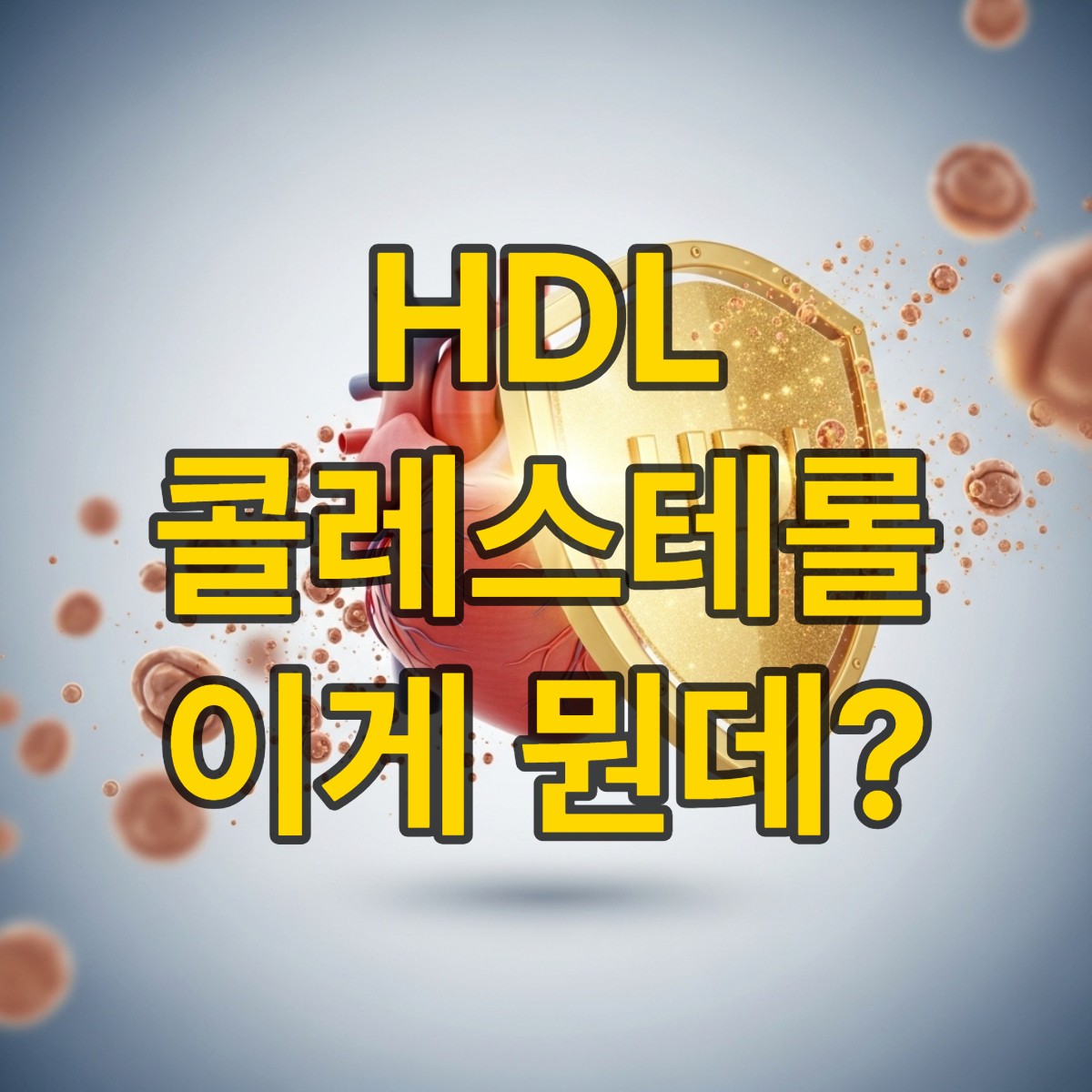 hdl 콜레스테롤 이란