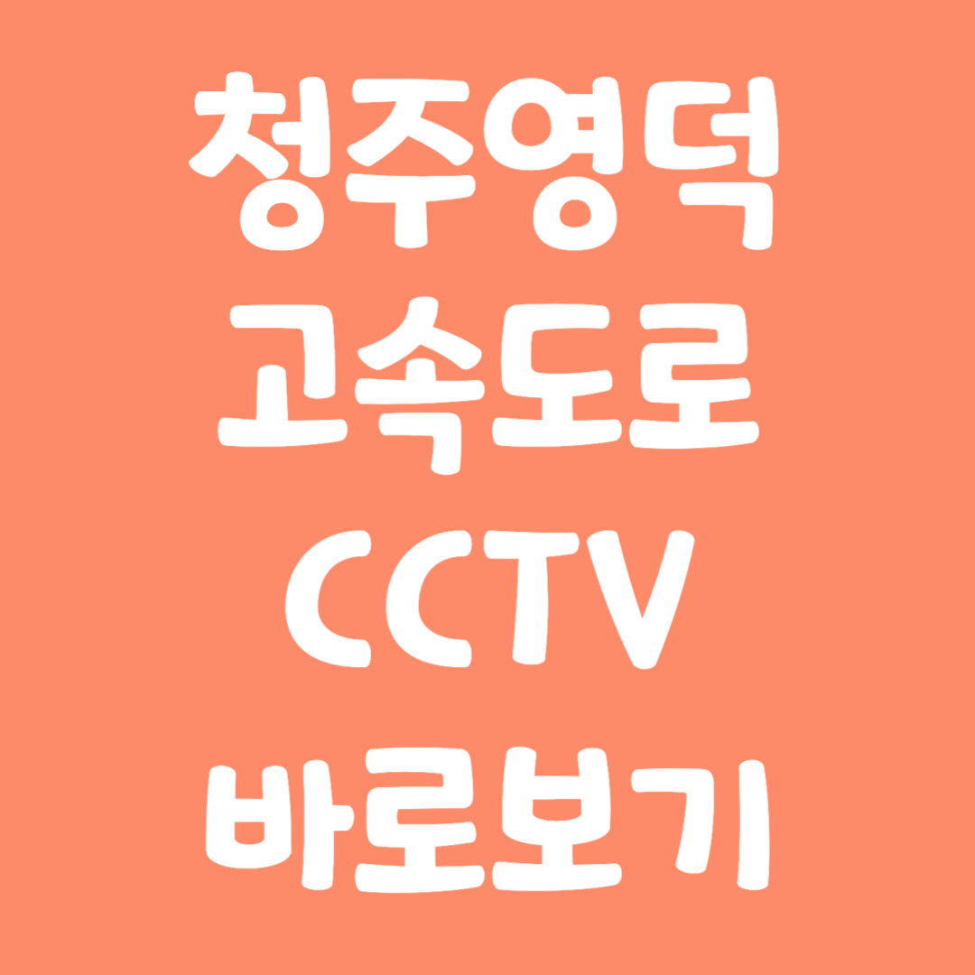 실시간 청주영덕 고속도로 CCTV 바로보기