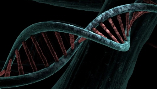 친자확인 유전자검사 비용 / 기관 / 기간 / 검체 / 신청방법 / 서류