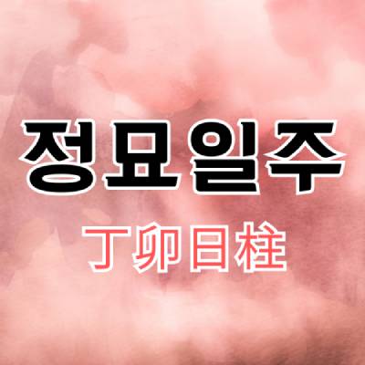 정묘일주(丁卯日柱)