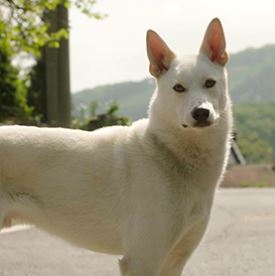 나는 돈가스가 싫어요 출연진 정보 등장인물 관계도