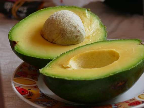 아보카도 오일 추천