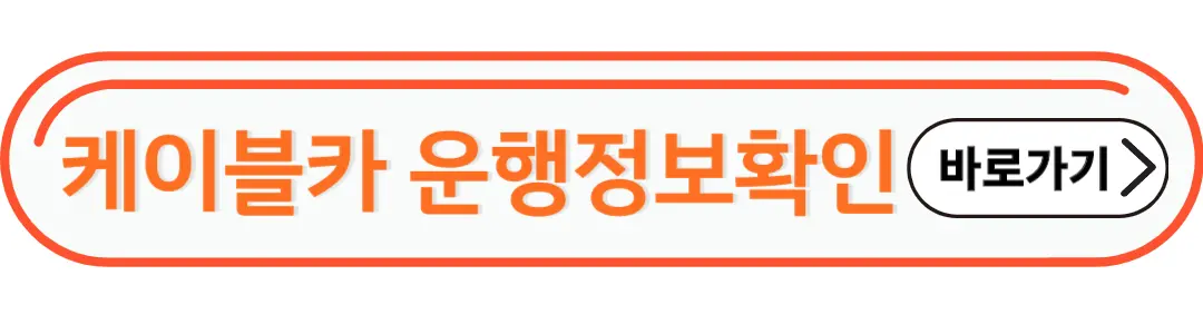 케이블카 운행정보확인