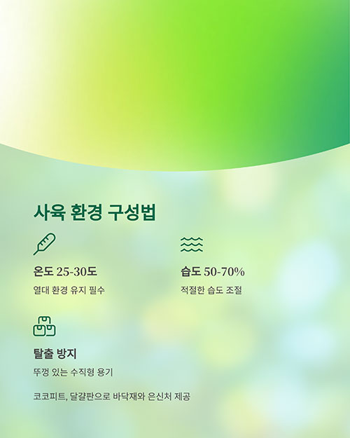 사육 환경은 어떻게 구성할까?