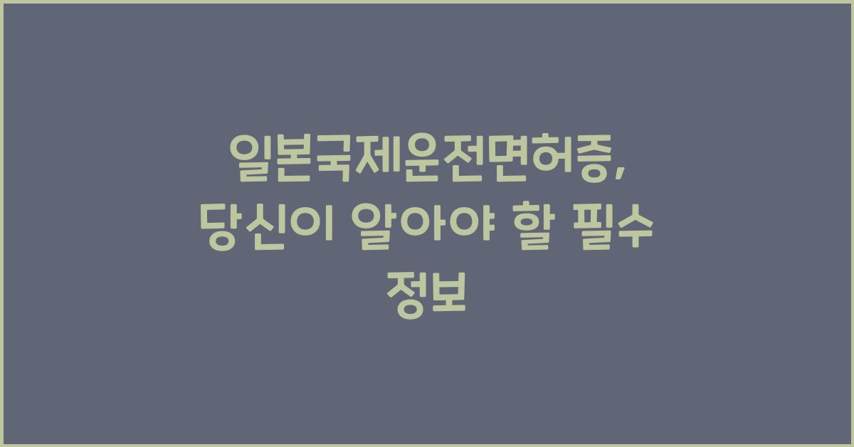 일본국제운전면허증