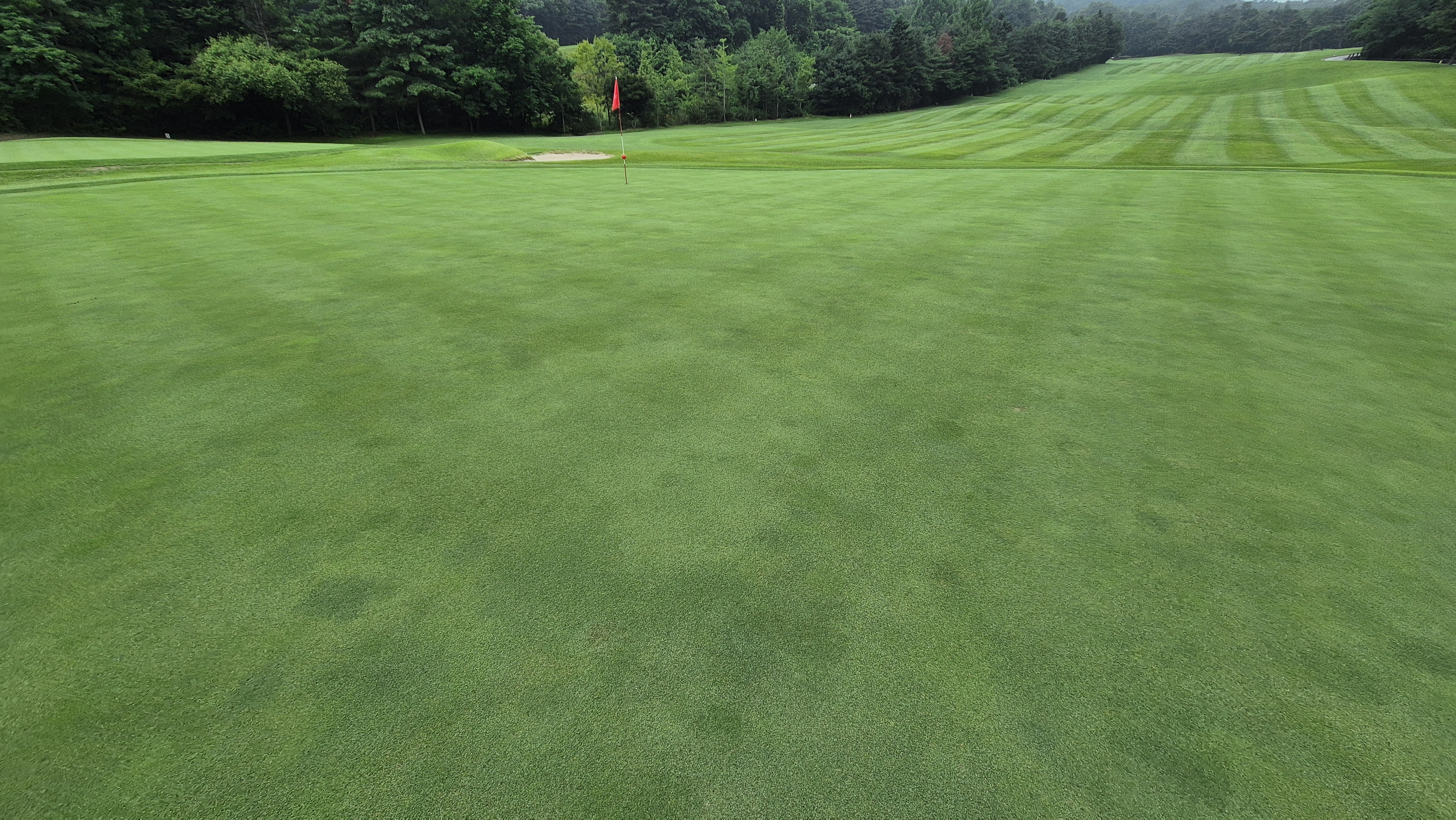 뉴스프링빌cc 라운드 후기